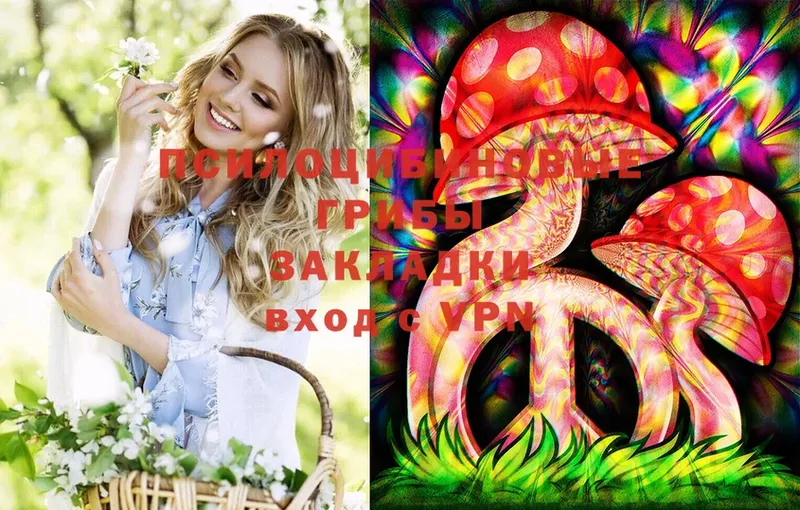 Псилоцибиновые грибы Psilocybe  Чусовой 